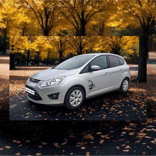 Auto-/Scheiben-/Spiegel-Aufkleber "Vampire Skull"